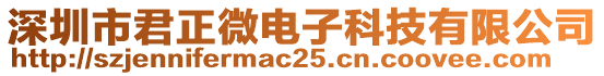 深圳市君正微電子科技有限公司