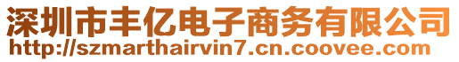 深圳市豐億電子商務(wù)有限公司