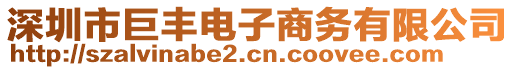 深圳市巨丰电子商务有限公司