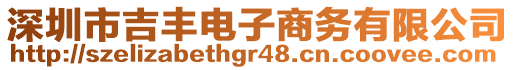 深圳市吉豐電子商務有限公司