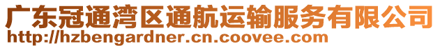 廣東冠通灣區(qū)通航運(yùn)輸服務(wù)有限公司