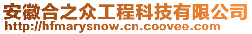 安徽合之眾工程科技有限公司