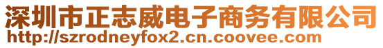 深圳市正志威電子商務(wù)有限公司