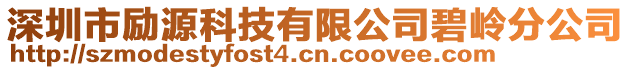 深圳市勵(lì)源科技有限公司碧嶺分公司