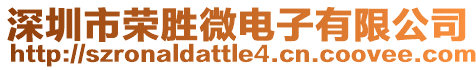 深圳市榮勝微電子有限公司