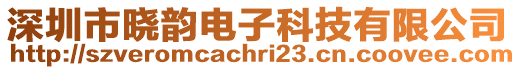 深圳市曉韻電子科技有限公司