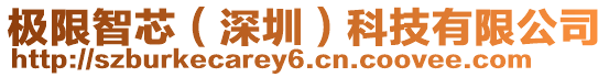 極限智芯(深圳)科技有限公司
