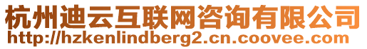 杭州迪云互聯(lián)網(wǎng)咨詢有限公司