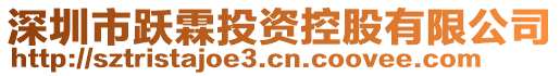 深圳市躍霖投資控股有限公司