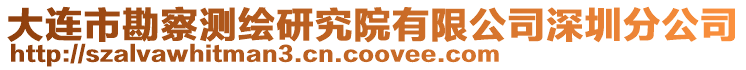 大連市勘察測繪研究院有限公司深圳分公司