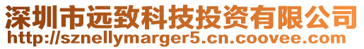 深圳市遠(yuǎn)致科技投資有限公司