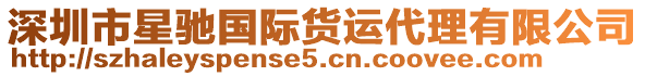 深圳市星馳國際貨運代理有限公司