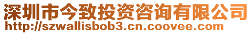 深圳市今致投資咨詢有限公司