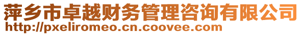 萍鄉(xiāng)市卓越財務(wù)管理咨詢有限公司