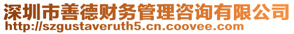 深圳市善德財務(wù)管理咨詢有限公司