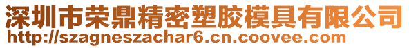 深圳市榮鼎精密塑膠模具有限公司