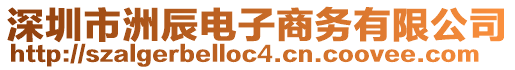 深圳市洲辰電子商務有限公司