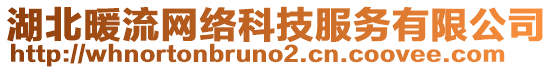 湖北暖流網(wǎng)絡科技服務有限公司