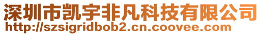 深圳市凱宇非凡科技有限公司