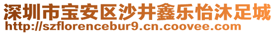 深圳市寶安區(qū)沙井鑫樂怡沐足城