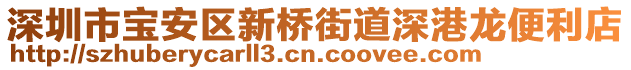 深圳市寶安區(qū)新橋街道深港龍便利店