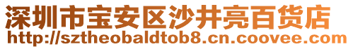 深圳市寶安區(qū)沙井亮百貨店