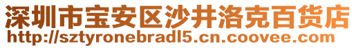 深圳市寶安區(qū)沙井洛克百貨店