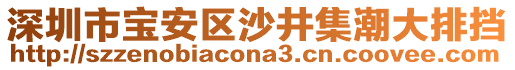 深圳市寶安區(qū)沙井集潮大排擋