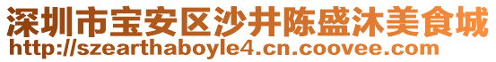 深圳市寶安區(qū)沙井陳盛沐美食城