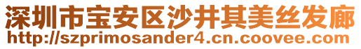 深圳市寶安區(qū)沙井其美絲發(fā)廊