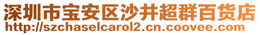 深圳市寶安區沙井超群百貨店
