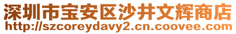 深圳市寶安區(qū)沙井文輝商店