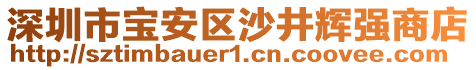 深圳市寶安區(qū)沙井輝強商店