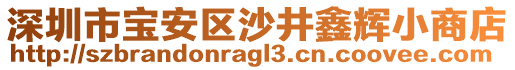 深圳市寶安區(qū)沙井鑫輝小商店