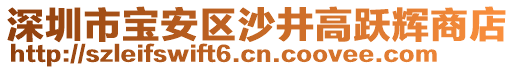 深圳市寶安區沙井高躍輝商店