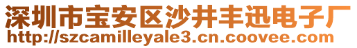 深圳市寶安區(qū)沙井豐迅電子廠