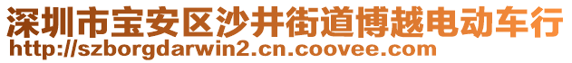 深圳市寶安區(qū)沙井街道博越電動(dòng)車行