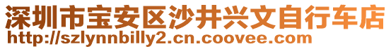 深圳市寶安區沙井興文自行車店