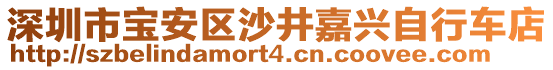 深圳市寶安區(qū)沙井嘉興自行車店