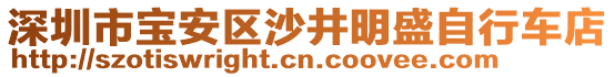 深圳市寶安區(qū)沙井明盛自行車店