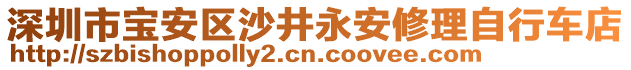 深圳市寶安區(qū)沙井永安修理自行車(chē)店