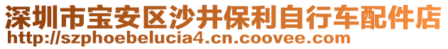 深圳市寶安區(qū)沙井保利自行車配件店