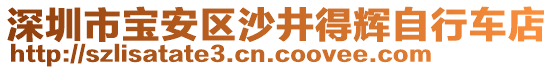 深圳市寶安區(qū)沙井得輝自行車店