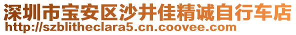 深圳市寶安區(qū)沙井佳精誠自行車店