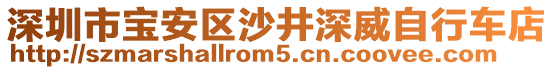 深圳市寶安區(qū)沙井深威自行車店