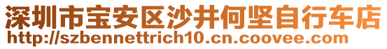 深圳市寶安區(qū)沙井何堅自行車店