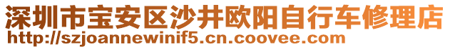 深圳市寶安區(qū)沙井歐陽自行車修理店