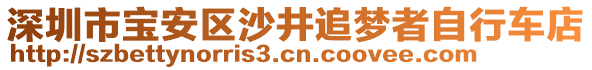 深圳市寶安區(qū)沙井追夢者自行車店