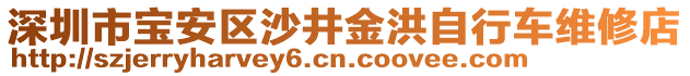 深圳市寶安區(qū)沙井金洪自行車維修店