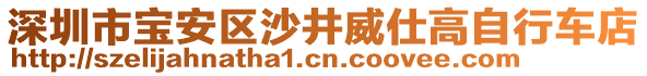 深圳市寶安區(qū)沙井威仕高自行車店